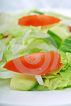 Fresh salad