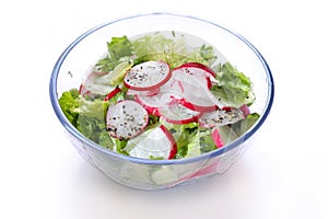 Fresh radish and lettuce salad