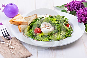 Fresh salad with arugula, tomato and egg