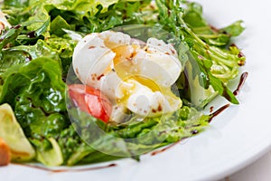 Fresh salad with arugula, tomato and egg