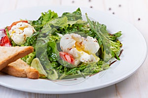 Fresh salad with arugula, tomato and egg