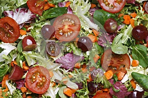 Fresh salad background