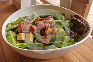 Fresh Salad with Bacon