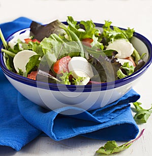 Fresh salad with bocconcini