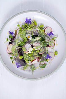 Fresh salad with broad beans, radish and violets