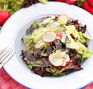 Fresh salad with cheese and radish