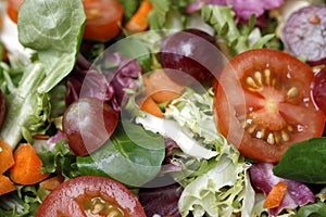 Fresh salad close-up
