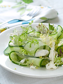 Fresh salad of cucumber, lettuce and goat cheese, selective focus