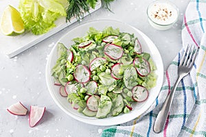 Fresh salad of cucumbers, radishes, green peas and herbs in white bowl