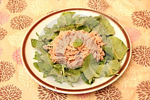 A fresh salad of dandelion with tuna fisch