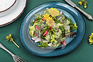 Fresh salad with dandelions, veganism