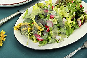 Fresh salad with dandelions, veganism