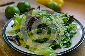 Fresh salad from different types of greens , seasoned with olive oil and lime juice with lemon