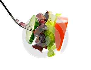 Fresh salad on fork