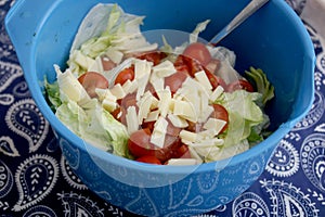 Fresh salad with gauda cheese
