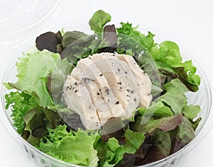 Fresh salad (green oak, red oak)with chicken breast, marinated in black pepper, steamed, cut into pieces in a clear plastic box