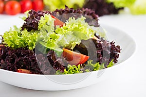 Fresh salad with green and purple lettuce, tomatoes and cucumbers on white wooden background close up.