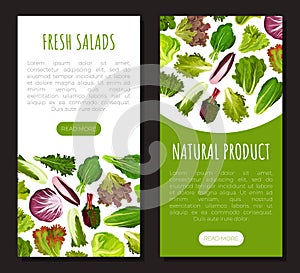 Fresh Salad Leaves Design with Green Vegetables Vector Template