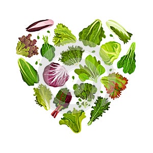 Fresh Salad Leaves Heart Shaped Composition with Green Vegetables Vector Template