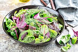 Fresh salad mix of baby spinach, arugula leaves, basil, chard and lambs lettuce