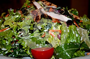 Fresh salad mix with pumpkin seeds and chicken breast