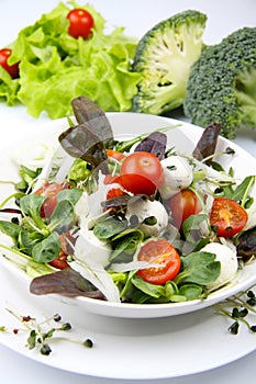 Fresh salad with mozzarella