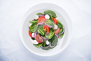 Fresh salad with mozzarella cheese, tomato, spinach and purple onion on white background top view