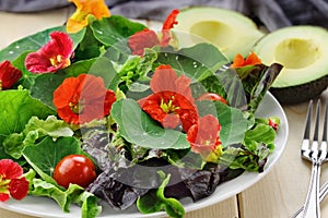 Fresh Salad with Nasturtium Flowers