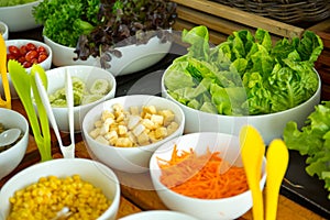 Fresh salad plate with mixed greens
