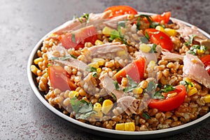 Fresh salad prepared with spelt, tuna, corn, tomatoes and herbs close-up in a plate. horizontal