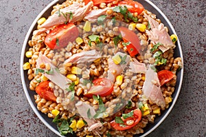Fresh salad prepared with spelt, tuna, corn, tomatoes and herbs close-up in a plate. horizontal top view