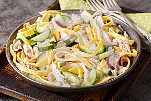 Fresh salad of shredded chicken, chopped omelette, cucumber and onion close-up in a plate. horizontal