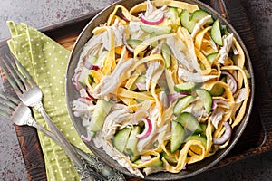 Fresh salad of shredded chicken, chopped omelette, cucumber and onion close-up in a plate. horizontal top view