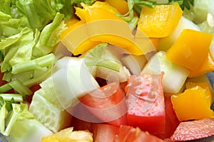 Fresh salad with tomato, cucumber, poivron and verdure