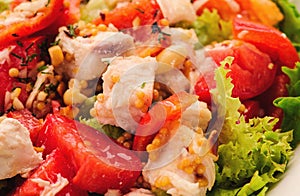 Fresh salad with tomato salad and meat