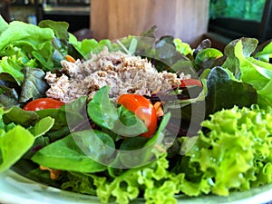 Fresh salad with tuna , Healthy food for smart eating.