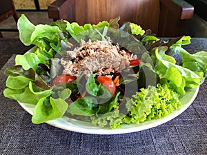 Fresh salad with tuna , Healthy food for smart eating. Diet food