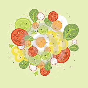 Fresh salad vector illustration