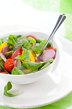 Fresh salad with vegetables