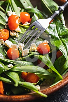 Fresh salad with wild garlic,tomatoes and feta cheese on plate