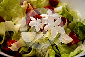 Fresh salade with lettuce, tomatoe and jasmin flowers photo