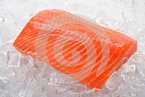 Fresh salmon