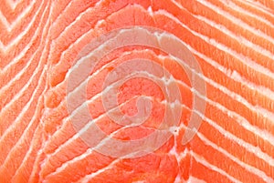 Fresh salmon