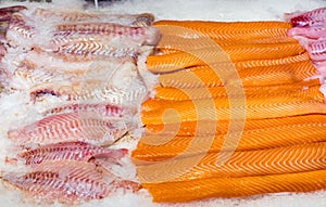 Fresh salmon and cod filet