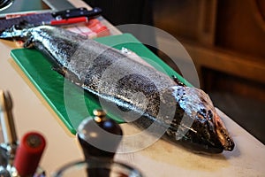 Fresh salmon with dill food recipe idea. Fresh fish tail close up on the table