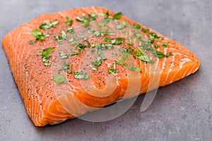 Fresh salmon fille with spice on the grey background.