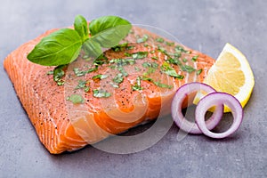 Fresh salmon fille with spice on the grey background. photo