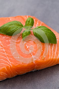 Fresh salmon fille with spice on the grey background. photo