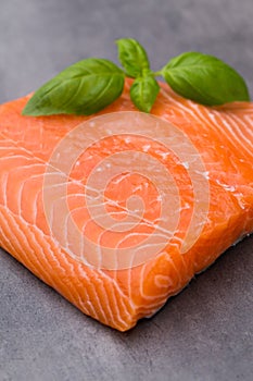 Fresh salmon fille with spice on the grey background.