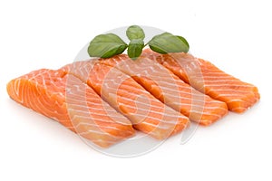 Fresh salmon fillet with basil on the white background.